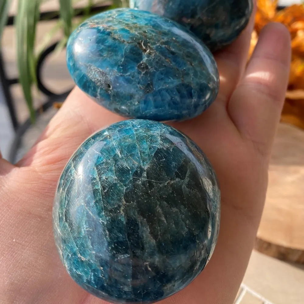 Apatite Palmstone