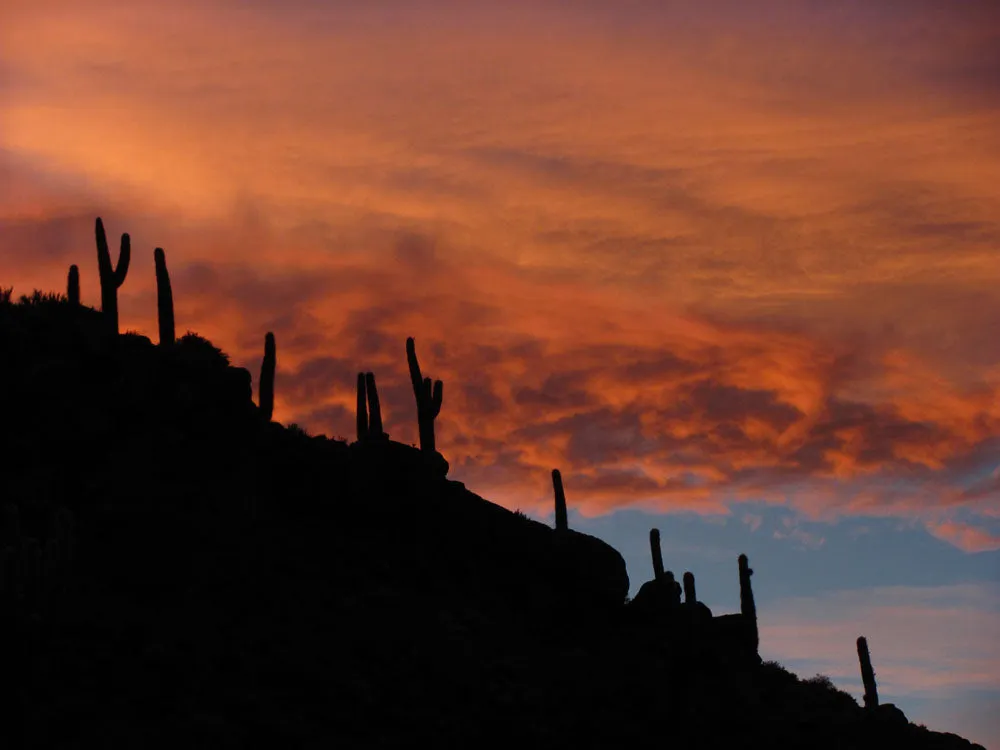 LSM   Explora Experience: Atacama Desert & Uyuni Salt Flats Recce from May 4 - 12, 2025