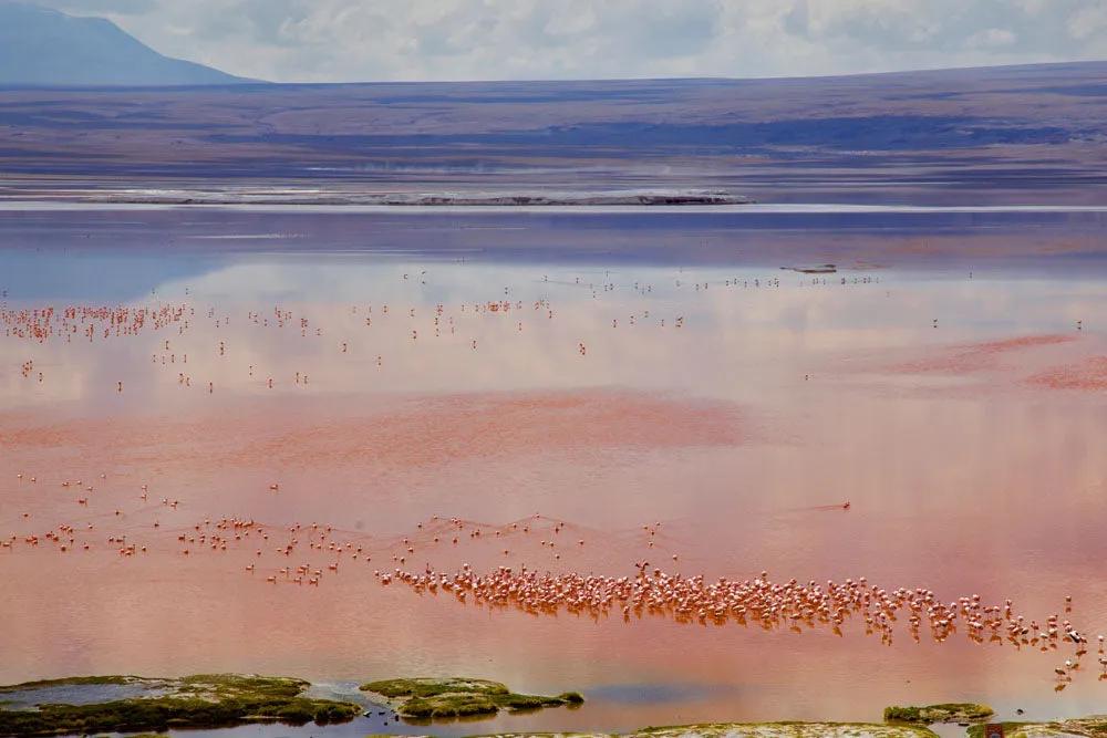 LSM   Explora Experience: Atacama Desert & Uyuni Salt Flats Recce from May 4 - 12, 2025