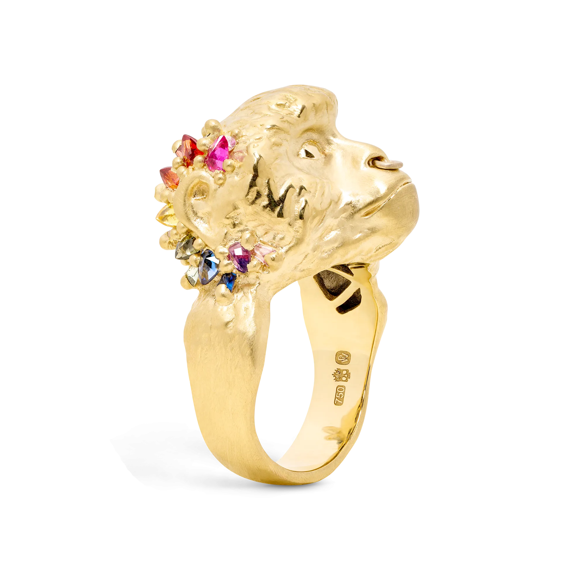 Rainbow Gamma Monkey Ring - Size 5 - 11755