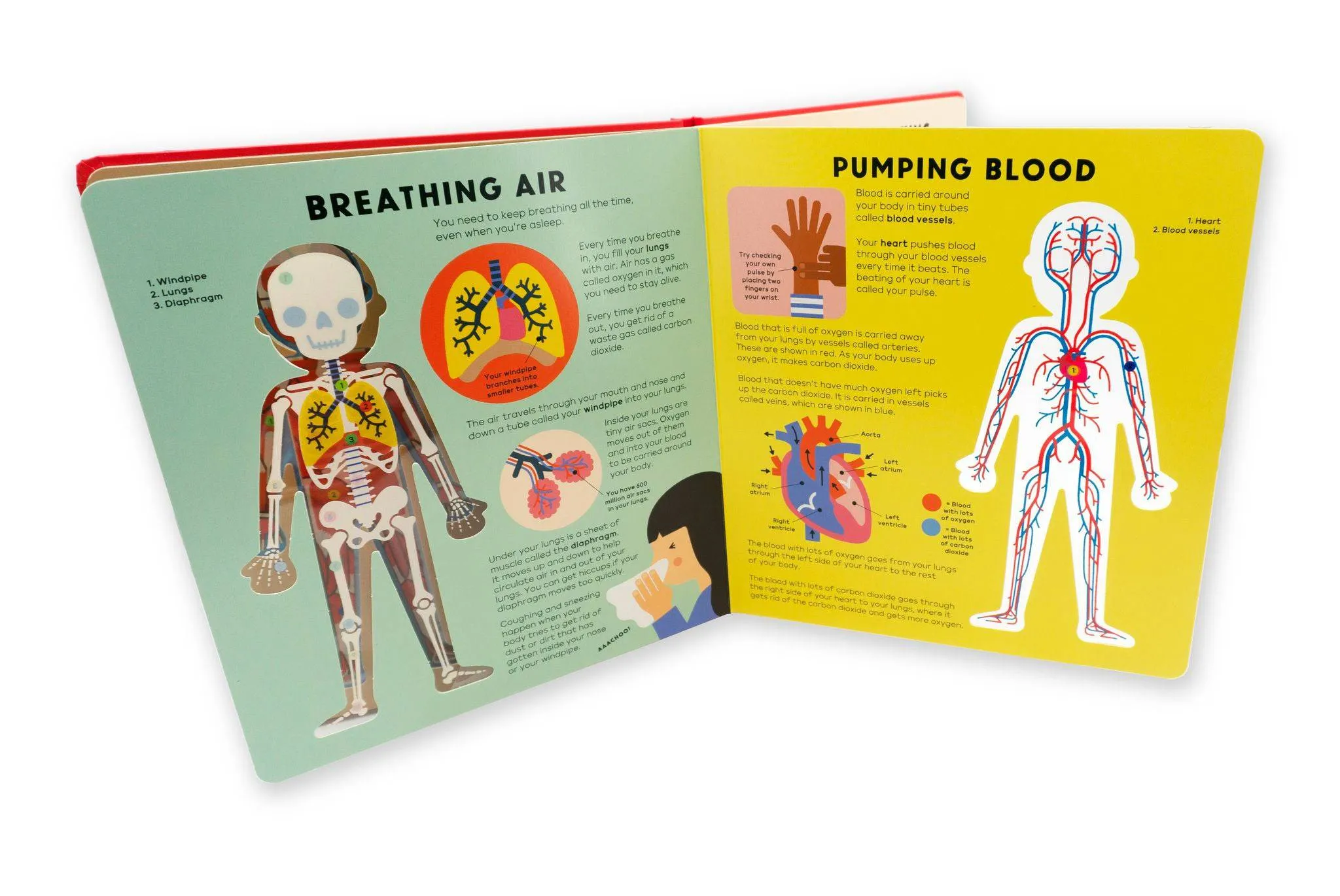 THE BODY BOOK