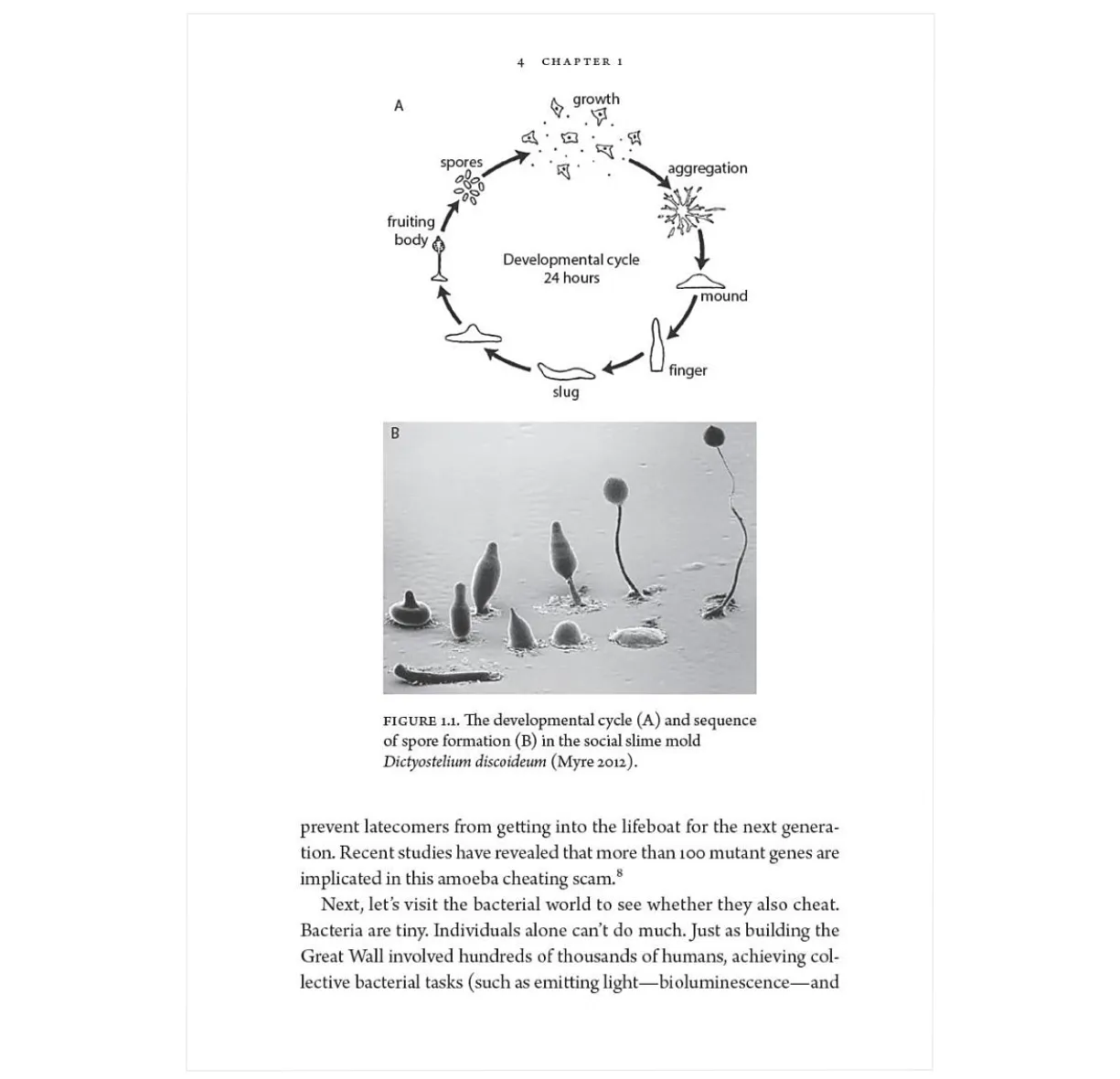 The Liars of Nature and the Nature of Liars: Cheating and Deception in the Living World